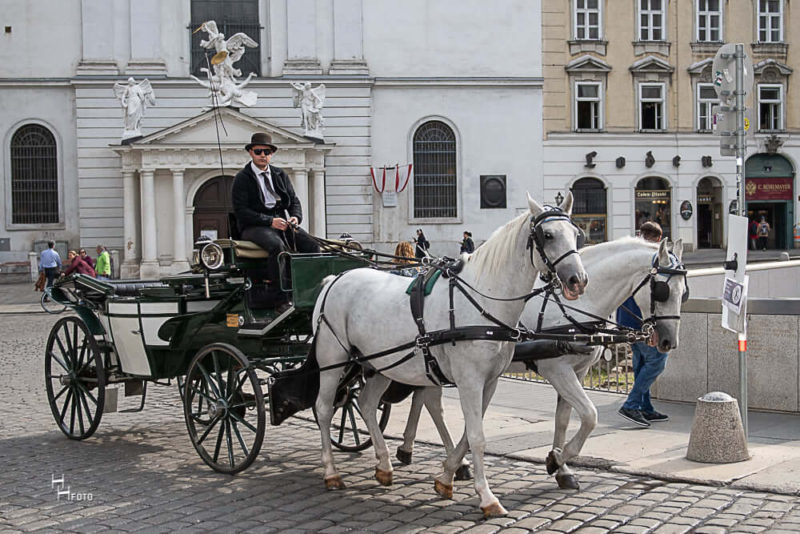 Fiaker der Wiener Fiakerzentrale